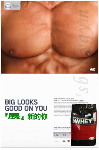 Optimum Nutrition Gold Standard 100% WHEY