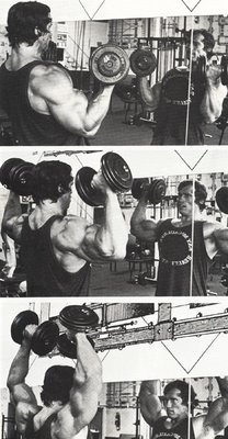 Arnold Shoulder Press